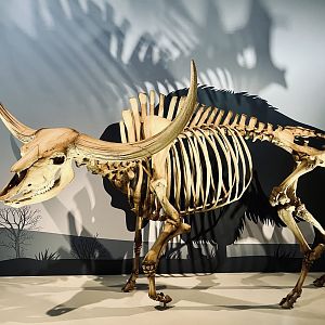 I’ve tried to vary these a bit from what’s been posted - but this is just so perfectly presented from this angle