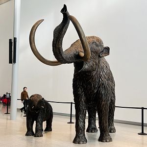 Mammoths that greet guests