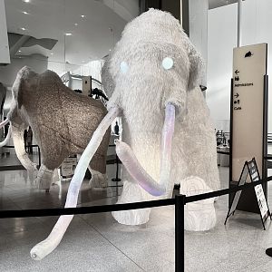 Creepy Mammoth