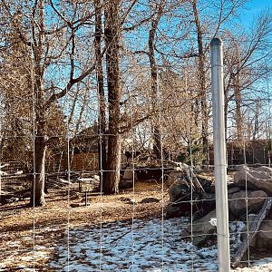 Japanese Serow Exhibit