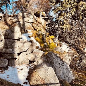 Waterfall.  Although half of it was closed…The Canadian Wilds collections of exhibits were nicely done