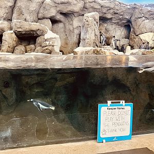 Penguin Exhibit