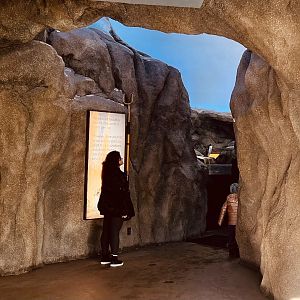 Looking back at the exhibit
