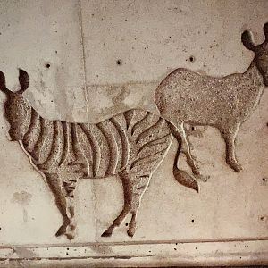 Zoo Art - Zebra and Ass