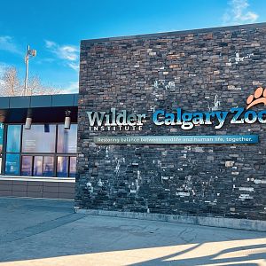 Entrance / Exit Plaza