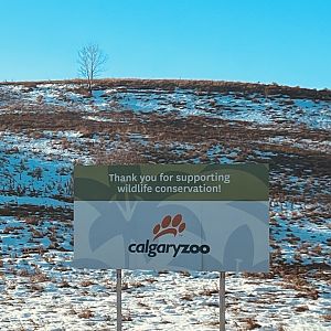 Until we meet again.  Lovely Zoo.  Many Exhibits absolutely first rate.