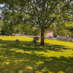 Pommersches Landschaf