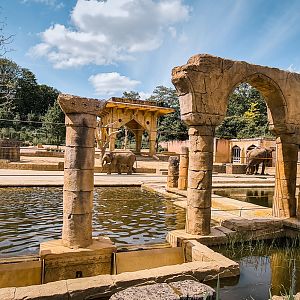 Elephant enclosure view 1