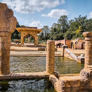 Elephant enclosure view 2
