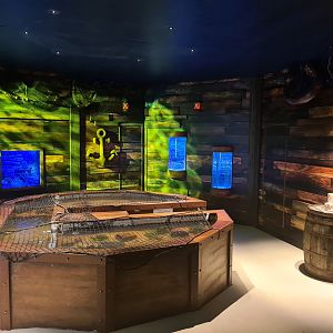 Sixth room - "Treasures of the sea"