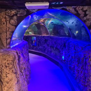 Eighth (final) room - Tunnel