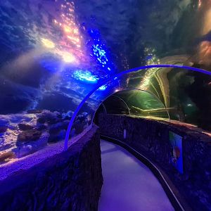 Eighth (final) room - Tunnel