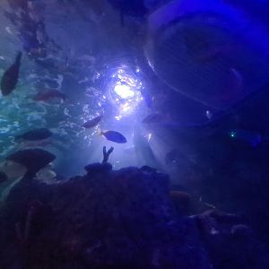 Eighth (final) room - View from tunnel