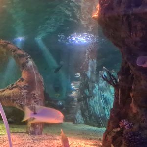 Eighth (final) room - View from tunnel