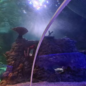 Eighth (final) room - View from tunnel