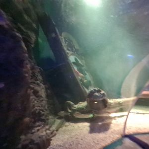 Eighth room - View from tunnel