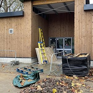 Secret life of reptiles and amphibians construction update