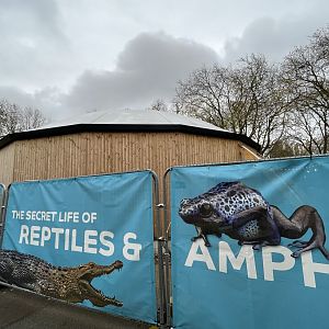Secret life of reptiles and amphibians construction update