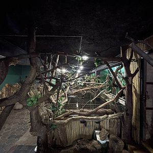 Pygmy hippo house indoor area