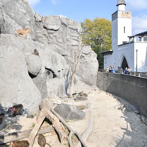 Zebra house and baboon cliff (with aoudad)