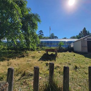 Beardsley 7/22 - Sulcata yard, greenhouse