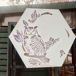 Zoo Art - Owl