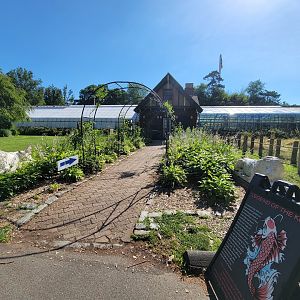 Beardsley 7/22 - Greenhouse