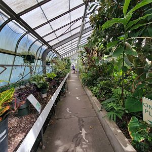 Beardsley 7/22 - Greenhouse