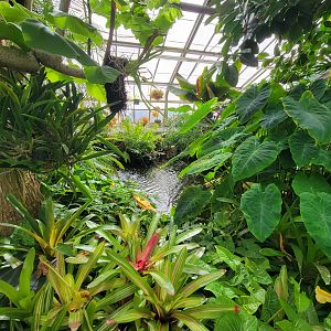 Beardsley 7/22 - Greenhouse pond