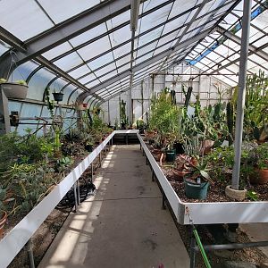 Beardsley 7/22 - Greenhouse, cacti