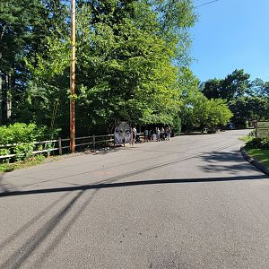 Beardsley 7/22 - Path