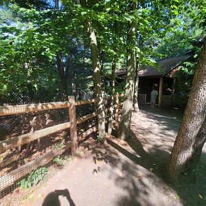 Beardsley 7/22 - Path past wolves