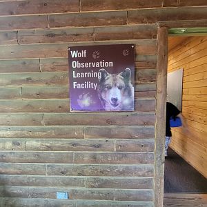 Beardsley 7/22 - Wolf Observation Learning Facility