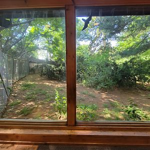 Beardsley 7/22 - Wolf Observation Learning Facility, Mexican wolf viewing