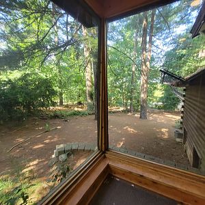 Beardsley 7/22 - Wolf Observation Learning Facility, Mexican wolf viewing