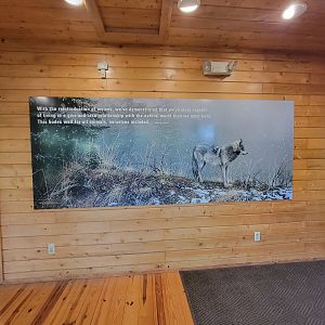 Beardsley 7/22 - Wolf Observation Learning Facility, quote