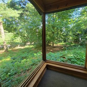 Beardsley 7/22 - Wolf Observation Learning Facility, red wolf viewing