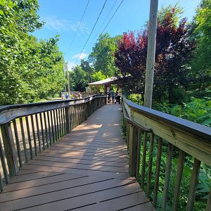 Beardsley 7/22 - Pampas boardwalk