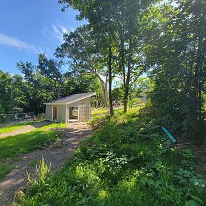 Beardsley 7/22 - Andean bear construction
