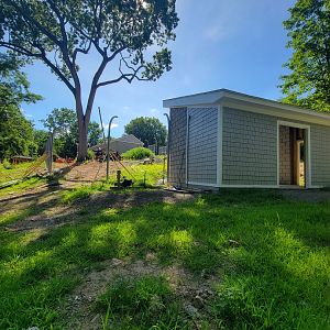 Beardsley 7/22 - Andean bear construction