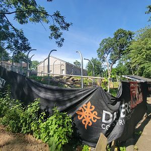 Beardsley 7/22 - Andean bear construction