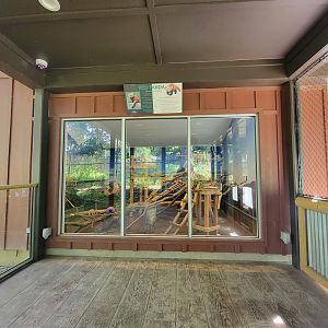 Beardsley 7/22 - Red panda indoor viewing