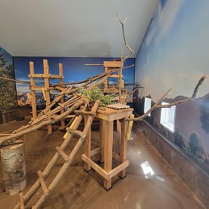 Beardsley 7/22 - Red panda indoor area