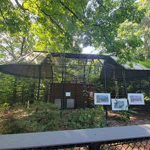 Beardsley 7/22 - Old big cat cages