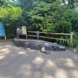 Beardsley 7/22 - Alligator statue at entrance to wetlands area