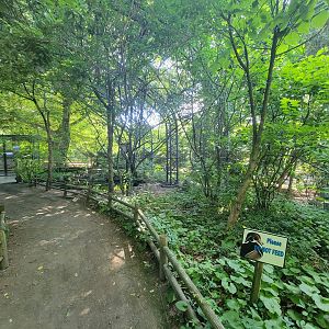 Beardsley 7/22 - Wetlands aviary