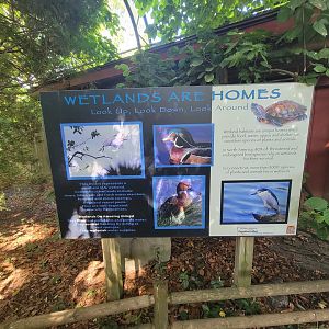 Beardsley 7/22 - Wetlands info