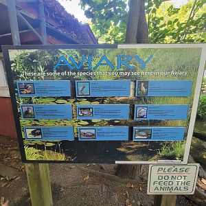 Beardsley 7/22 - Wetlands aviary, some of the species you may see (I saw three ducks, the place was basically empty)