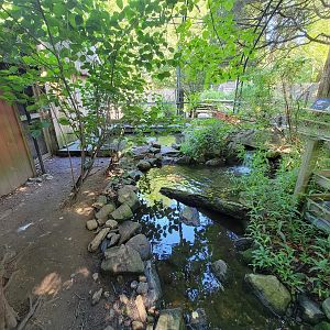 Beardsley 7/22 - Wetlands aviary
