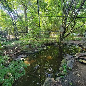 Beardsley 7/22 - Wetlands aviary
